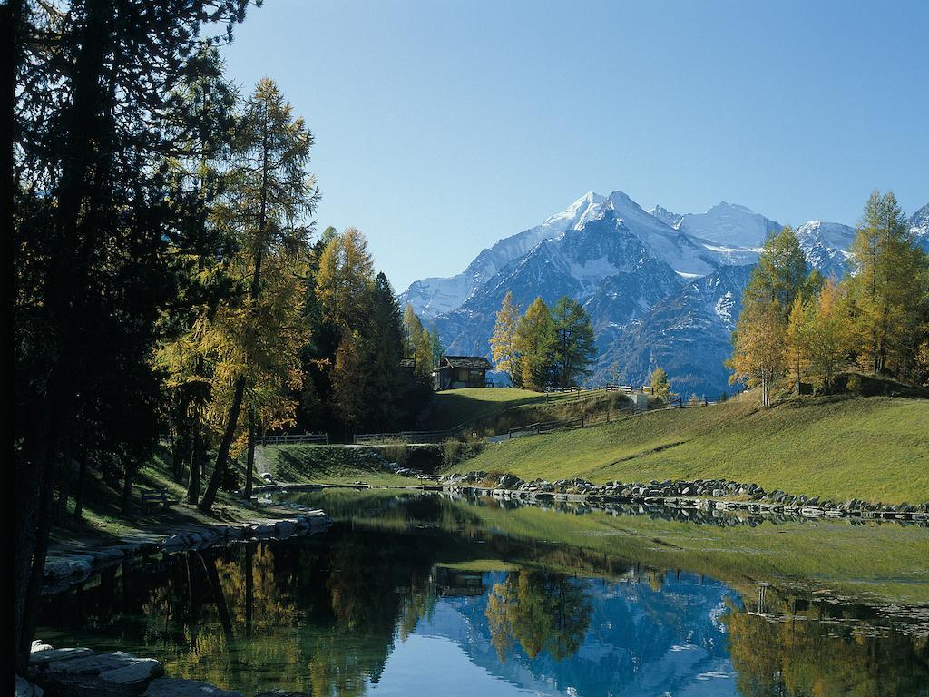Chalet Soldanella Grächen Eksteriør billede